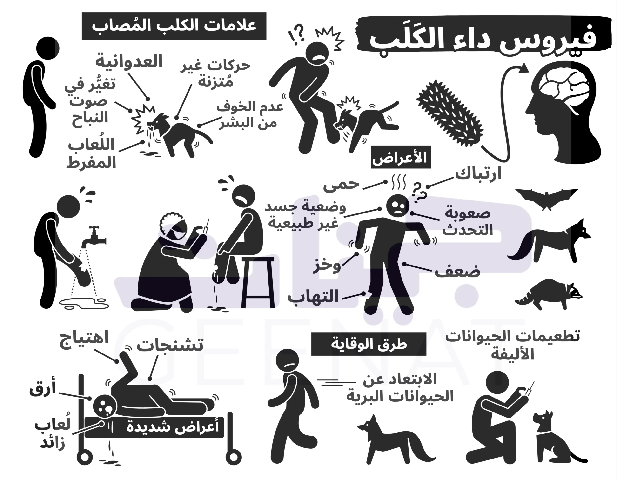 رسم يبيّن أعراض داء الكلب وسبل الوقاية